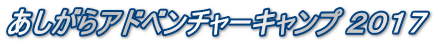 あしがらアドベンチャーキャンプ 2017