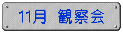 11月 観察会